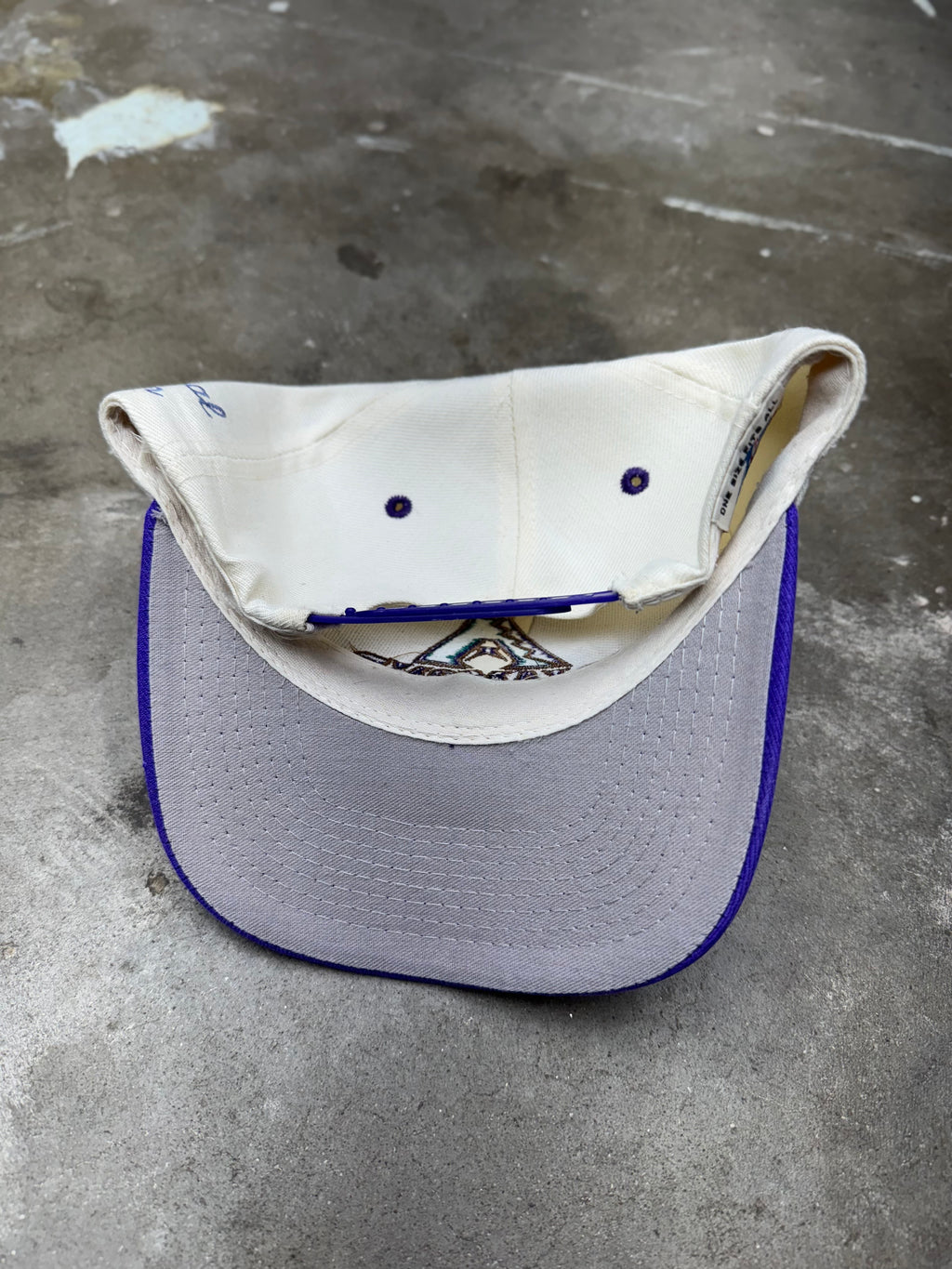 Vintage Arizona Diamondbacks Snapback- WOOL