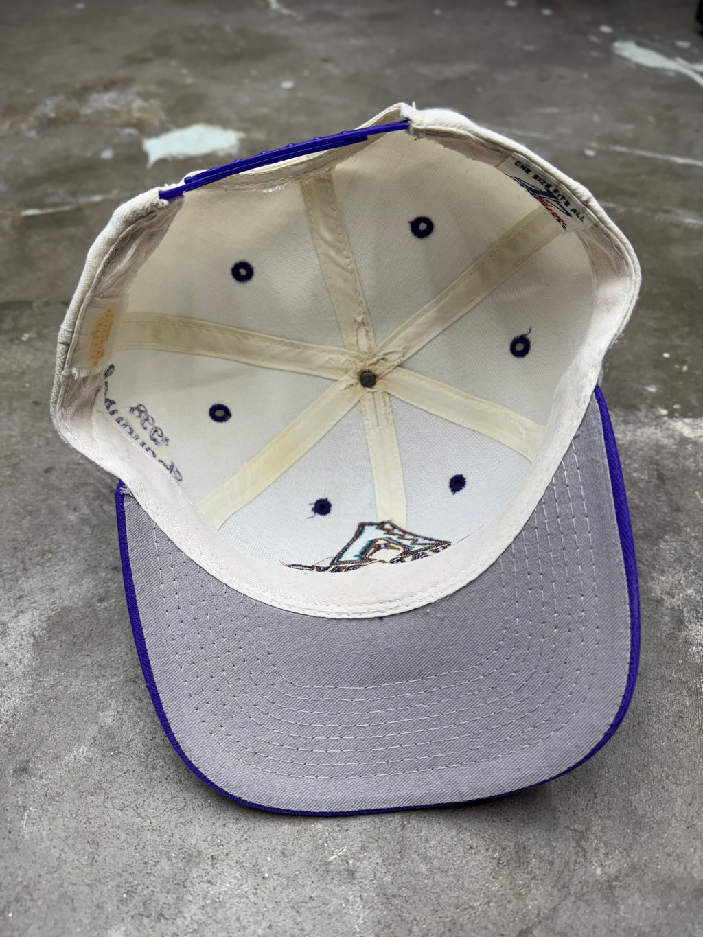 Vintage Arizona Diamondbacks Snapback- WOOL
